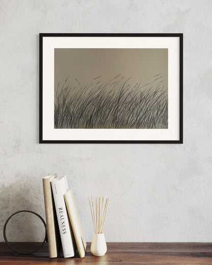 Original Charcoal Grasslands