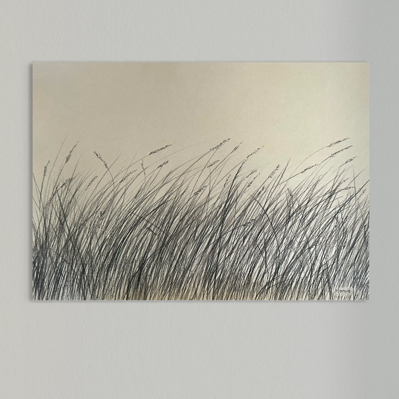 Original Charcoal Grasslands