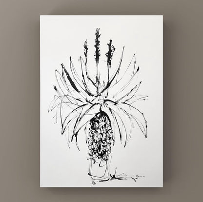 Abstract Cape Aloe